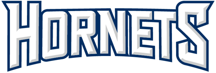 Metcalfe Hornets Ringette